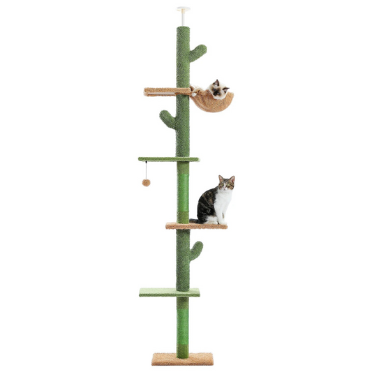 Arbre à chat 5 niveaux